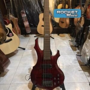 Bass Gitar ESP LTD F255 FM 5 String